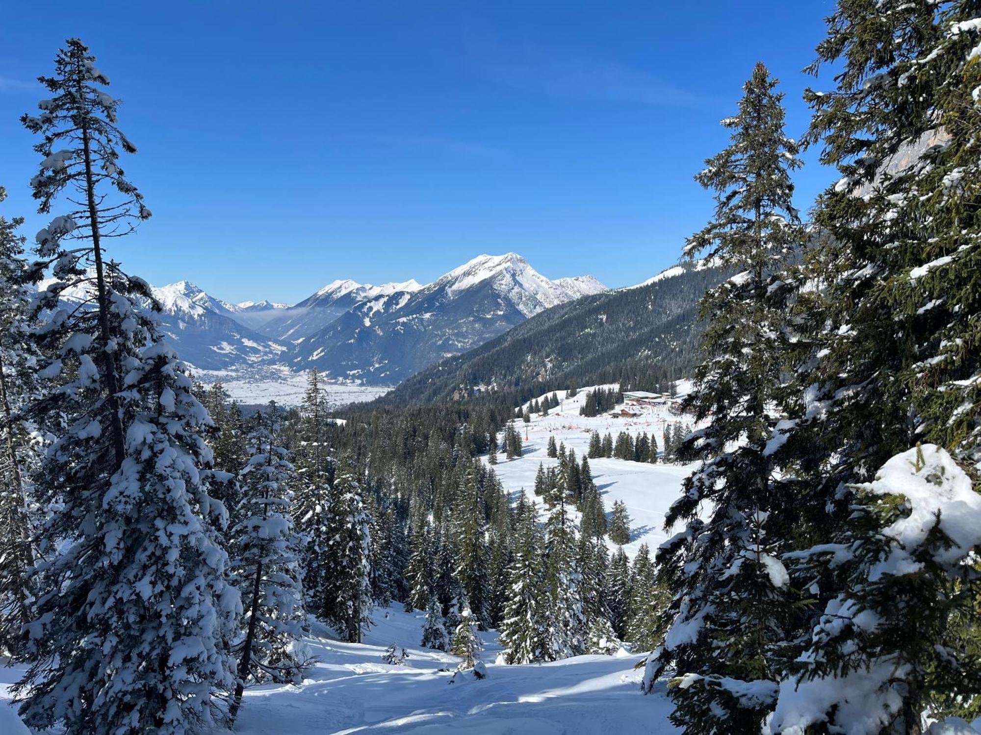 Haus Alpenblume Leilighet Ehrwald Eksteriør bilde