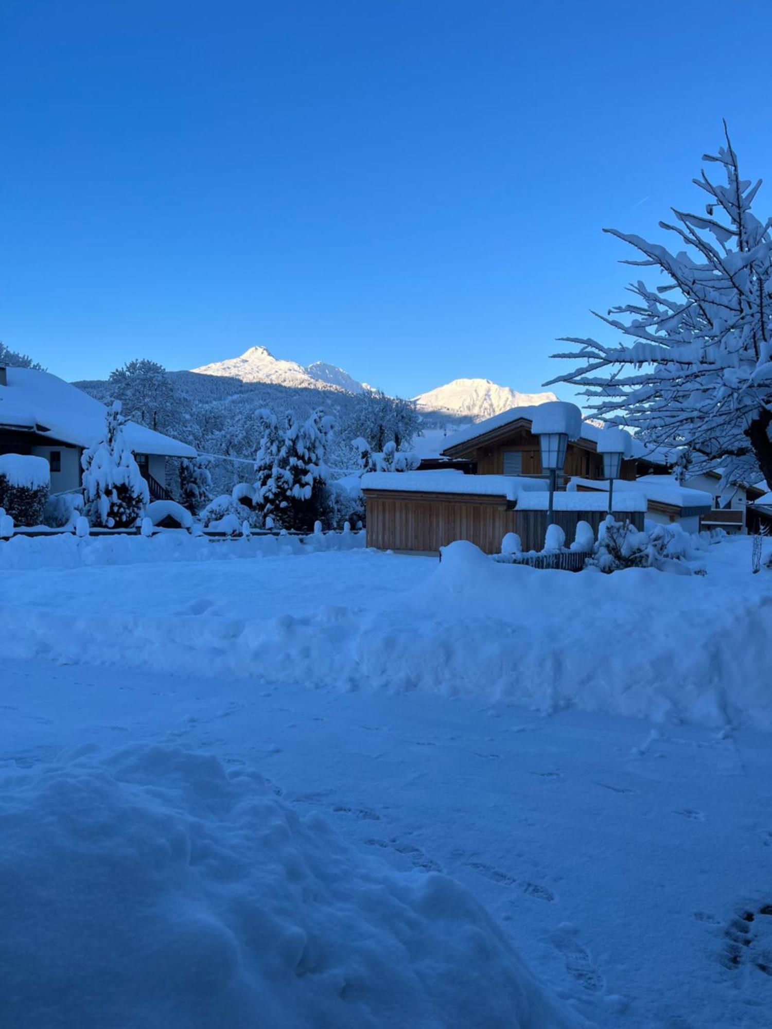 Haus Alpenblume Leilighet Ehrwald Eksteriør bilde