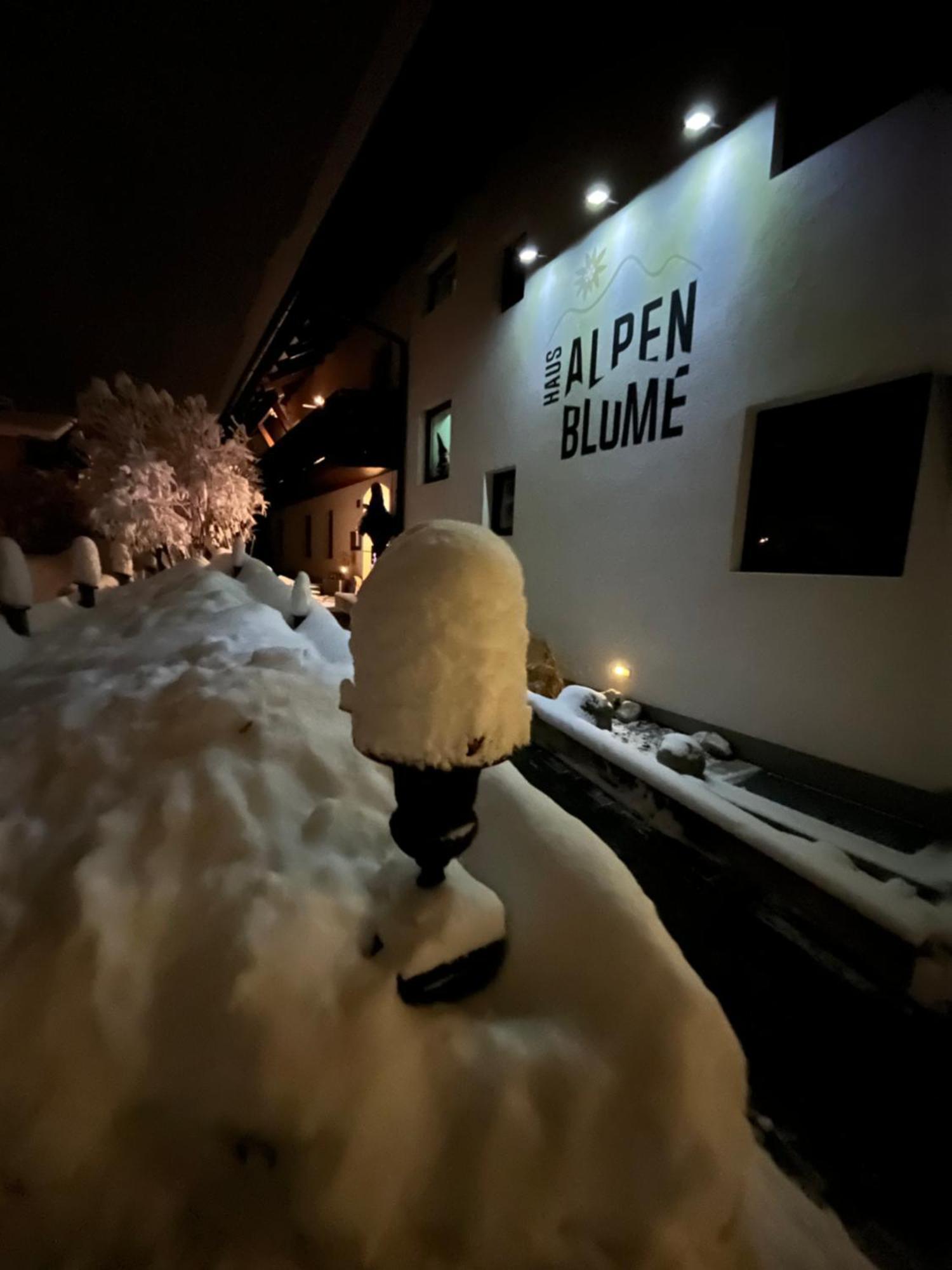 Haus Alpenblume Leilighet Ehrwald Eksteriør bilde
